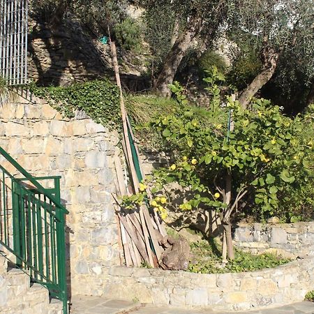 Casa Laura Villa Zoagli Dış mekan fotoğraf