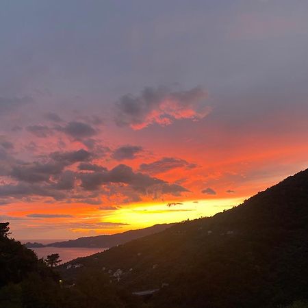 Casa Laura Villa Zoagli Dış mekan fotoğraf