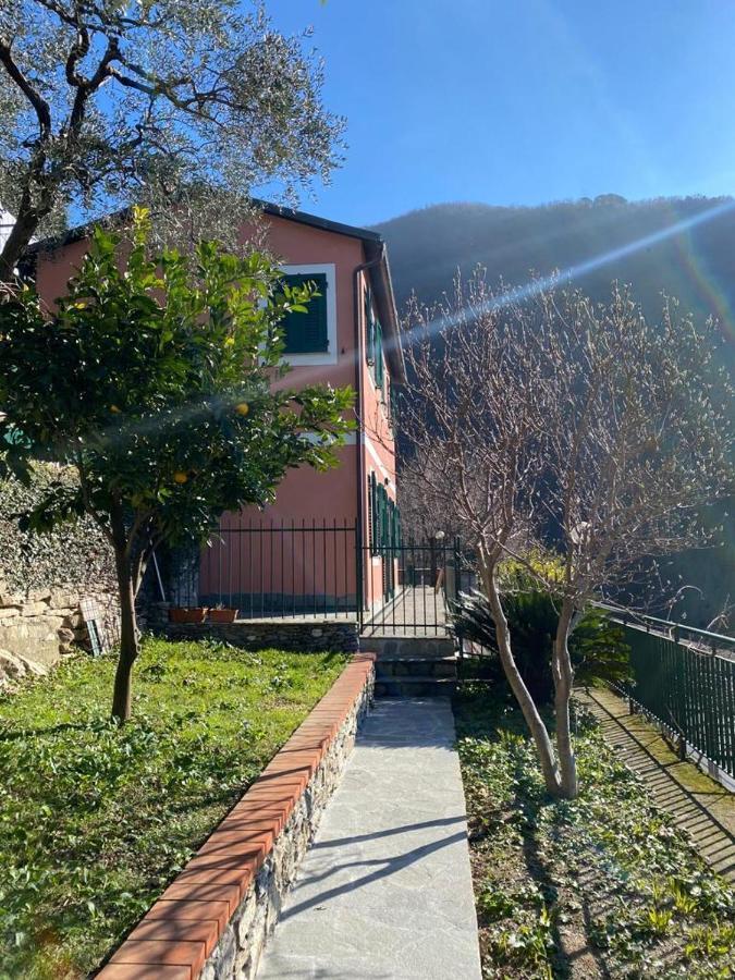 Casa Laura Villa Zoagli Dış mekan fotoğraf