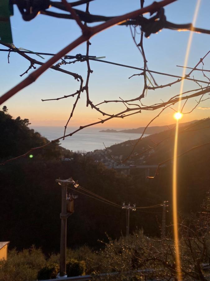 Casa Laura Villa Zoagli Dış mekan fotoğraf