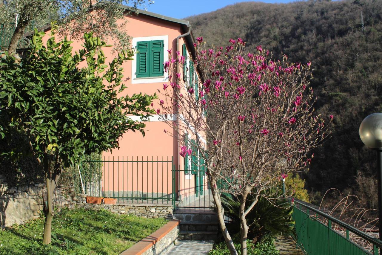 Casa Laura Villa Zoagli Dış mekan fotoğraf