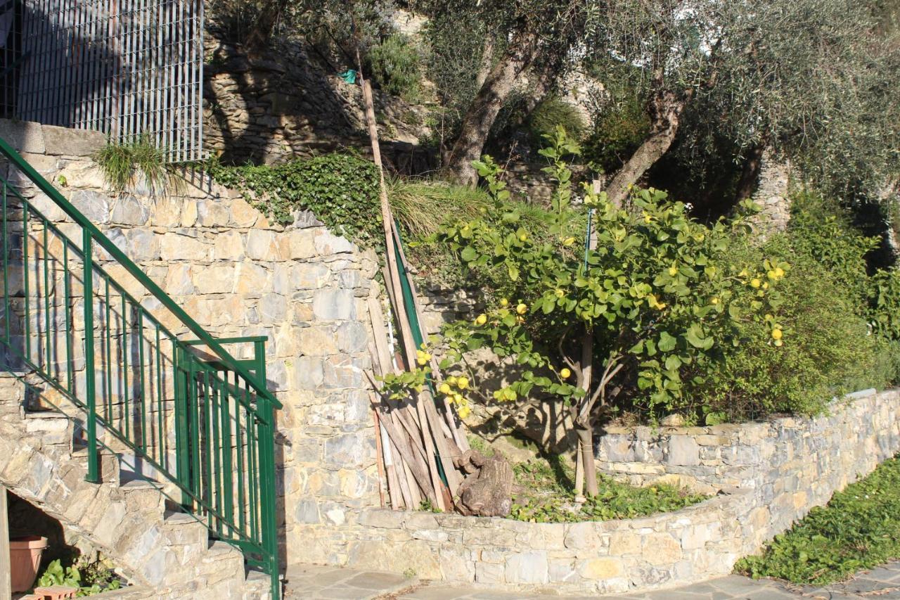 Casa Laura Villa Zoagli Dış mekan fotoğraf
